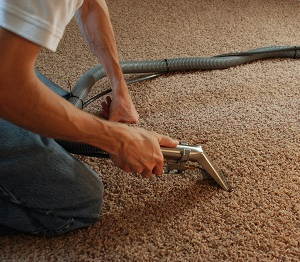 Teppichreinigung